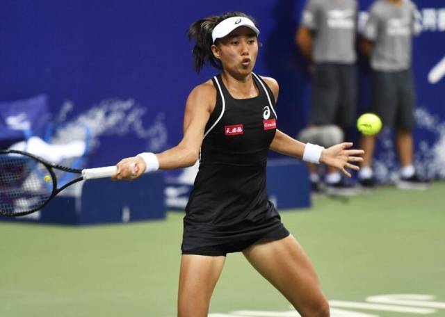 昙花一现 昙花一现